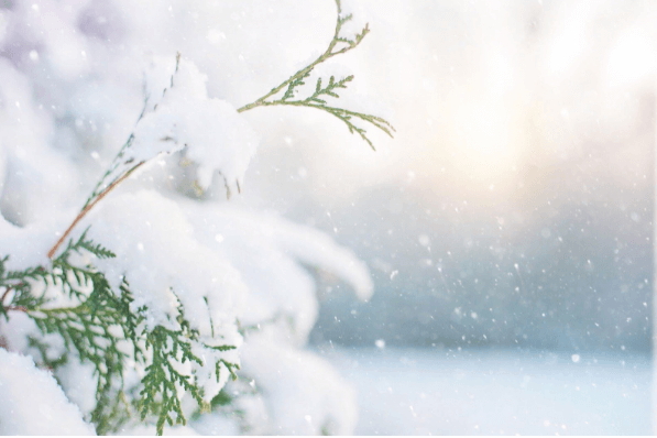 【夢占い】雪の夢にはどんな意味があるの？