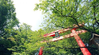 冠稲荷神社